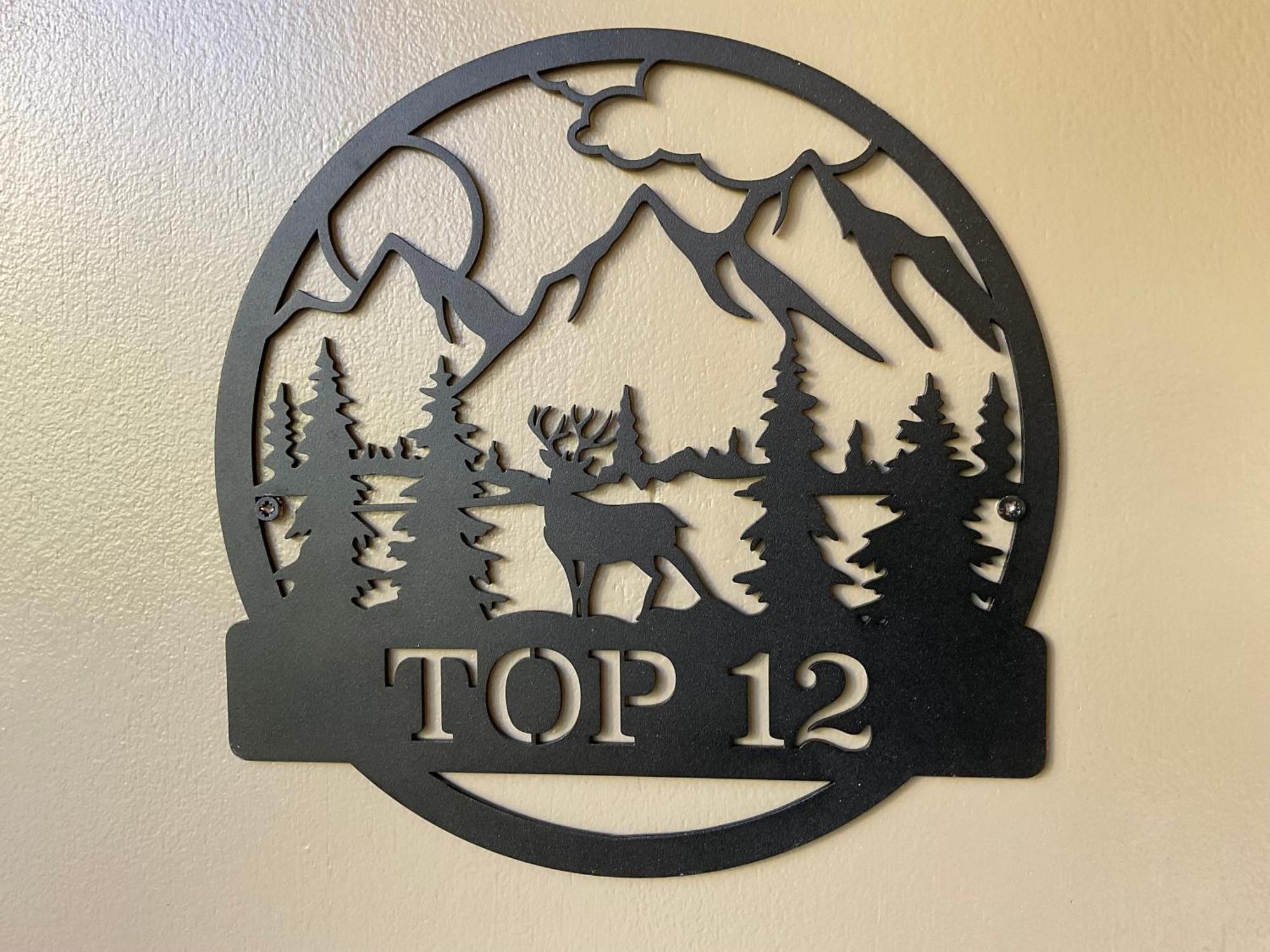 Top 12, Am Sonnenhang, Hochstrasse Schladming Exteriör bild